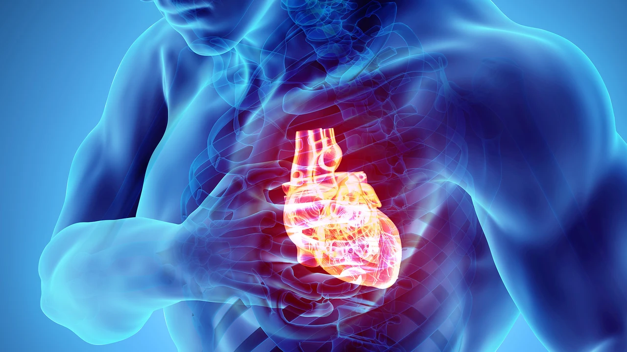 Exploring the Link Between Chronic Hepatitis B and Cardiac Conditions
